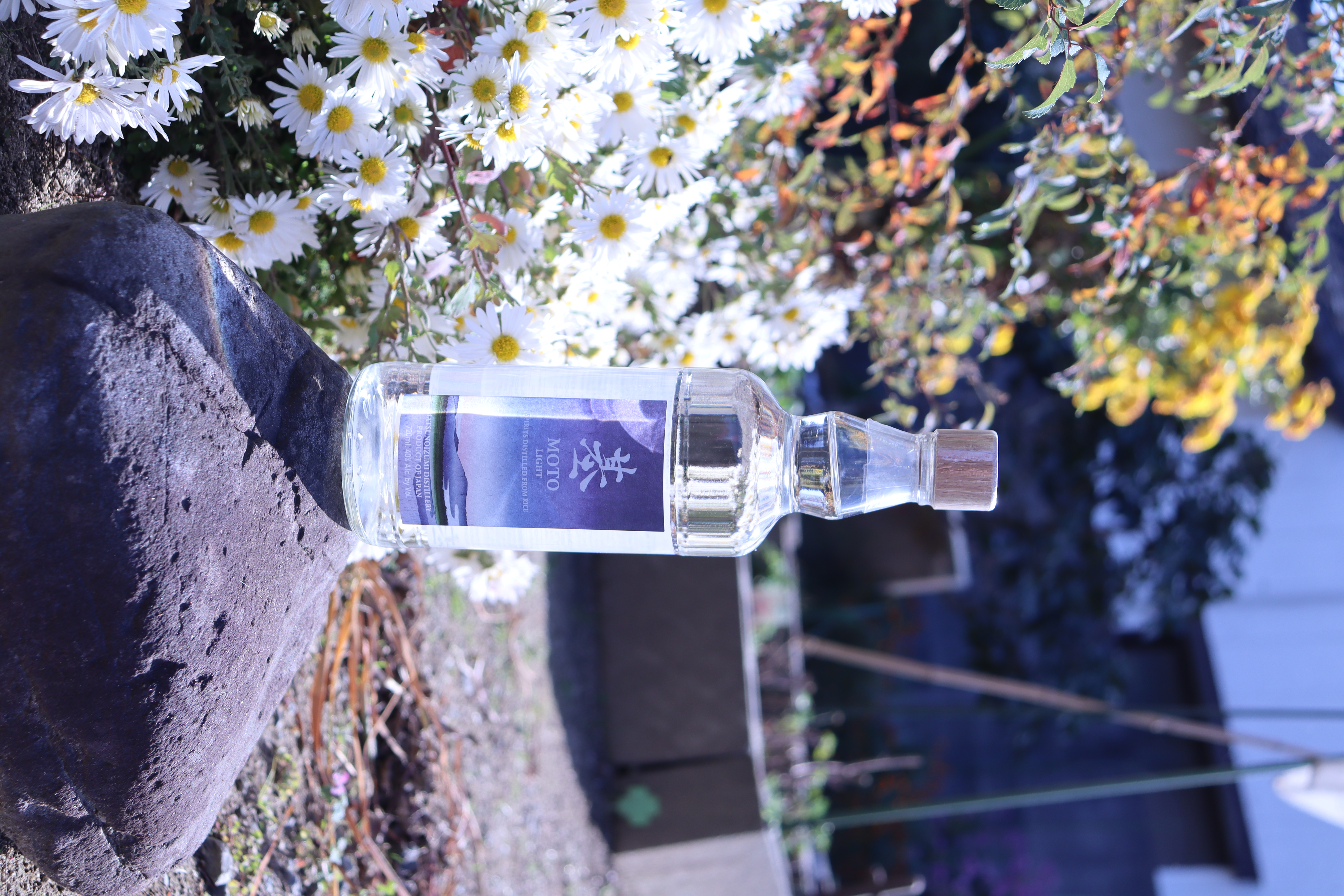 Japanese Sake